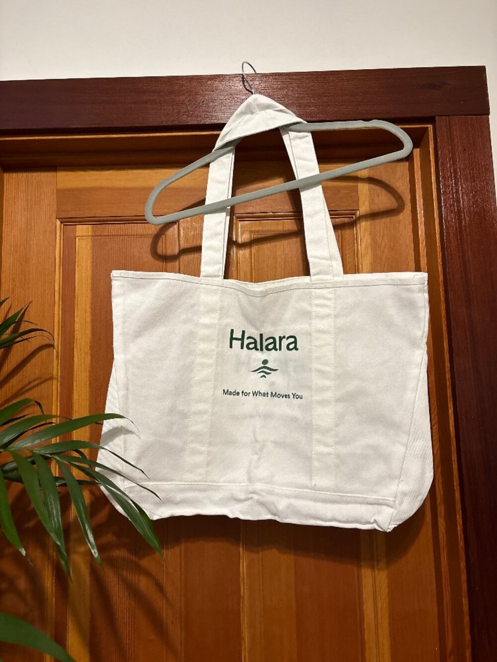 Halara tote bag FREE with purchase